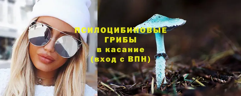 Галлюциногенные грибы Psilocybe  Алдан 